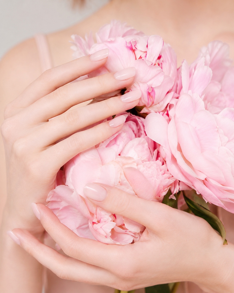 Elegant manicured nails holding pink peonies